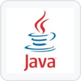 Java
